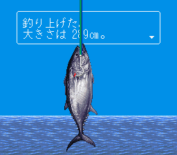 海のぬし釣り p706p5gエンタメ その他 - その他